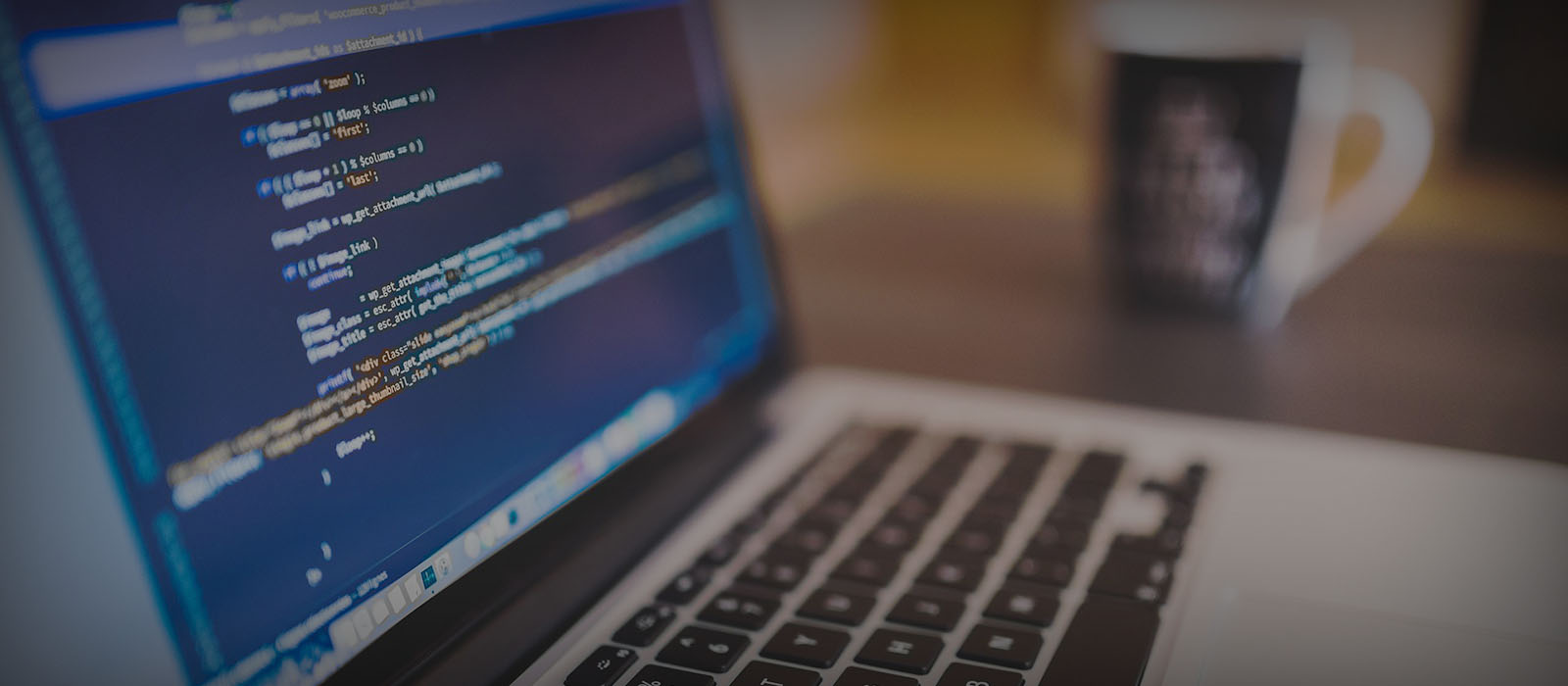 web development banner